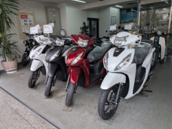 �z���_�X�y�C�V�[100�i���Q�����R�s�j�摜9