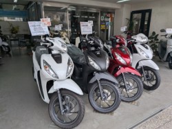 �z���_�X�y�C�V�[100�i���Q�����R�s�j�摜10