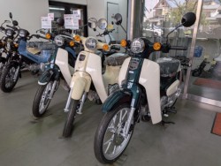 �z���_Cross Cub 110 Lite�i���Q�����R�s�j�摜10