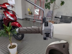 �z���_�W�����m�i���Q�����R�s�j�摜12