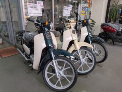 �z���_Cross Cub 110 Lite�i���Q�����R�s�j�摜11