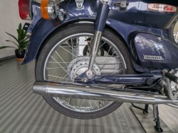 �z���_�X�[�p�[�J�u50�i���Q�����R�s�j�摜8