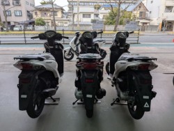 �z���_ICON e:�i���Q�����R�s�j�摜12