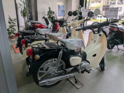 �z���_Cross Cub 110 Lite�i���Q�����R�s�j�摜12