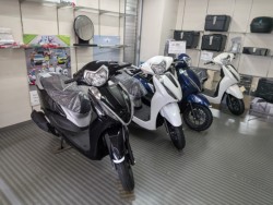 �z���_PCX�i���Q�����R�s�j�摜13