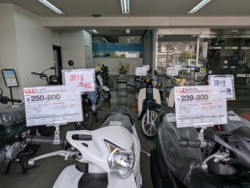 �z���_Cross Cub 110 Lite�i���Q�����R�s�j�摜13