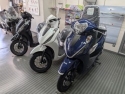 �z���_PCX�i���Q�����R�s�j�摜14