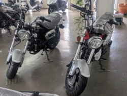 ホンダモンキー125(愛媛県松山市)画像15