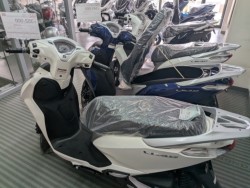 �z���_�X�y�C�V�[100�i���Q�����R�s�j�摜15