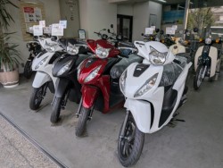 �z���_Cross Cub 110 Lite�i���Q�����R�s�j�摜14