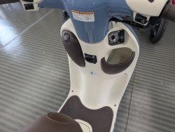 �z���_�W�����m�i���Q�����R�s�j�摜7