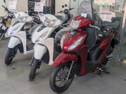 �z���_�f�B�I�i���Q�����R�s�j�摜11