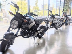 ホンダモンキー125(愛媛県松山市)画像17
