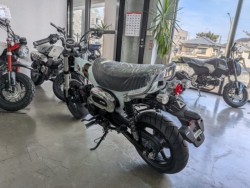 �z���_�_�b�N�X125�i���Q�����R�s�j�摜6