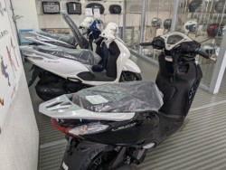 �z���_�X�y�C�V�[100�i���Q�����R�s�j�摜16