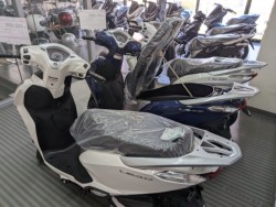 �z���_�f�B�I110�i���Q�����R�s�j�摜15