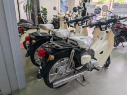 �z���_�X�[�p�[�J�u50�i���Q�����R�s�j�摜15