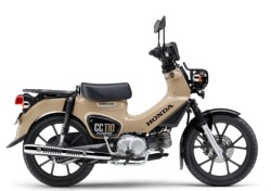 �z���_&nbsp;Cross Cub 110 Lite 
