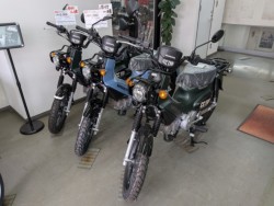 �z���_ICON e:�i���Q�����R�s�j�摜17