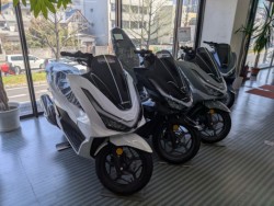 �z���_�f�B�I110�i���Q�����R�s�j�摜17