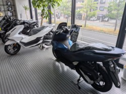 �z���_PCX�i���Q�����R�s�j�摜18