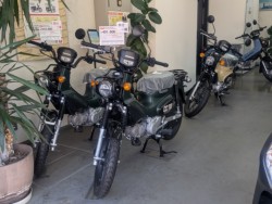 �z���_�f�B�I�i���Q�����R�s�j�摜18