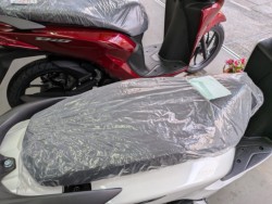 �z���_�f�B�I110�i���Q�����R�s�j�摜13