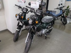 �z���_�X�[�p�[�J�u50�i���Q�����R�s�j�摜18