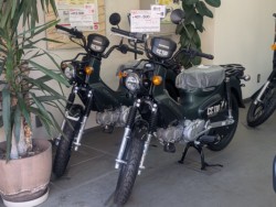 �z���_�f�B�I�i���Q�����R�s�j�摜17