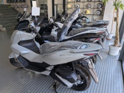 �z���_�f�B�I110�i���Q�����R�s�j�摜19