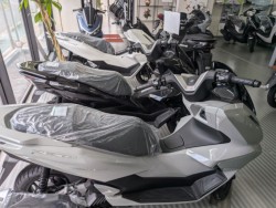 �z���_PCX�i���Q�����R�s�j�摜20