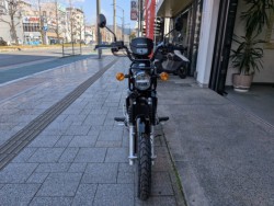 �z���_Cross Cub 110 Lite�i���Q�����R�s�j�摜2