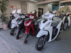 �z���_ICON e:�i���Q�����R�s�j�摜10