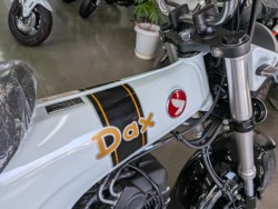 �z���_�_�b�N�X125�i���Q�����R�s�j�摜14