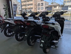 �z���_ICON e:�i���Q�����R�s�j�摜12