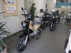 �z���_�W�����m�i���Q�����R�s�j�摜17