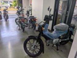 �z���_�W�����m�i���Q�����R�s�j�摜19