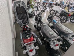 �z���_�����L�[125�i���Q�����R�s�j�摜11