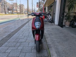 �z���_ICON e:�i���Q�����R�s�j�摜2