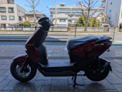 �z���_ICON e:�i���Q�����R�s�j�摜3