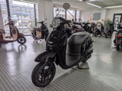 �z���_�W�����m�i���Q�����R�s�j�摜4