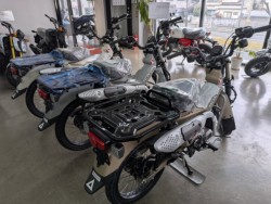 �z���_�����L�[125�i���Q�����R�s�j�摜16