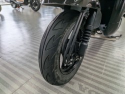 �z���_�W�����m�i���Q�����R�s�j�摜10