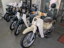 ホンダDunk(愛媛県松山市)画像13