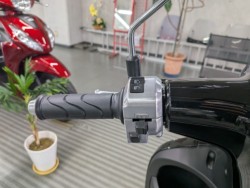 �z���_�W�����m�i���Q�����R�s�j�摜12