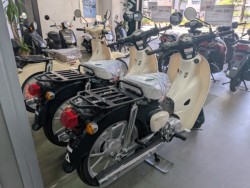 ホンダDunk(愛媛県松山市)画像15