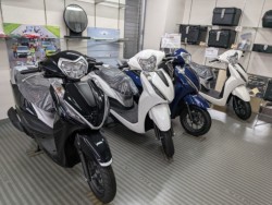 �z���_�f�B�I110�i���Q�����R�s�j�摜13