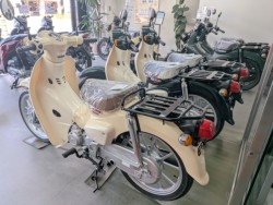ホンダDunk(愛媛県松山市)画像16