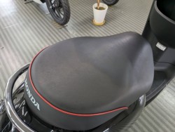 �z���_�W�����m�i���Q�����R�s�j�摜16