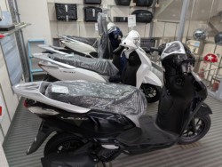 �z���_�f�B�I110�i���Q�����R�s�j�摜16